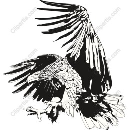 Majestic Eagle