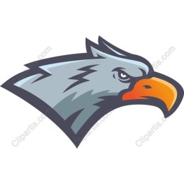  Eagle Head Graphic