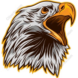 Majestic Eagle Head
