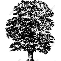 Leafy Tree