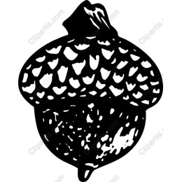 Elegant Acorn
