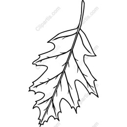 Intricate Leaf