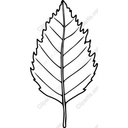 Elegant Leaf