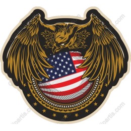 Eagle Emblem Over American Flag