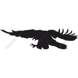 Majestic Soaring Eagle