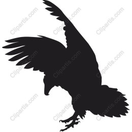 Majestic Bird in Flight