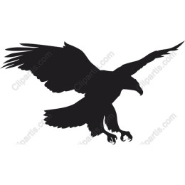 Majestic Eagle