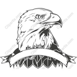 Majestic Eagle Head