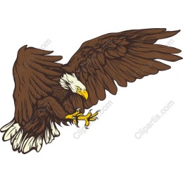 Majestic Eagle
