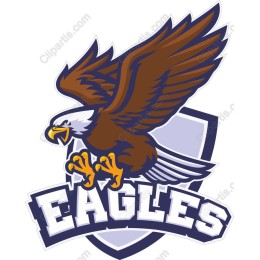 Fierce Eagle in Flight