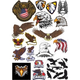 Eagle Bundle - and Collection