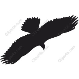 Majestic Eagle