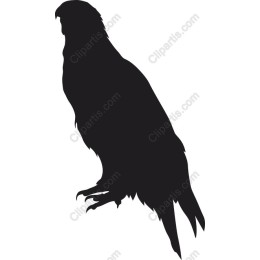 Bird of Prey