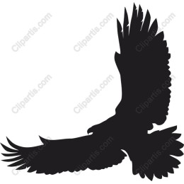 Majestic Eagle