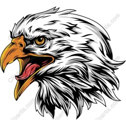 Majestic Eagle Head