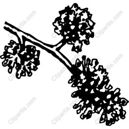 Intricate Leaf Branch