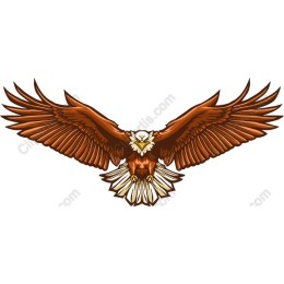 Majestic Soaring Eagle
