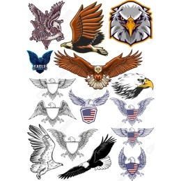 Eagle Masterpiece Collection