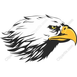 Majestic Eagle