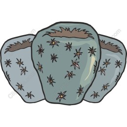 Stylized Floral Rocks