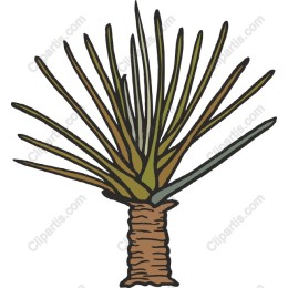 Hand-Drawn Yucca Plant