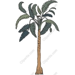 Tropical Fern Tree