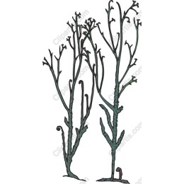 Abstract Branches