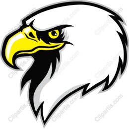 Fierce Eagle Head