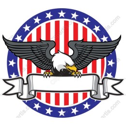 Patriotic Bald Eagle