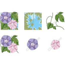 Morning Glory Floral Collection