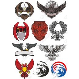 Majestic Eagle & Hawk Collection