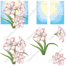 Elegant Pink Lily Flowers Set