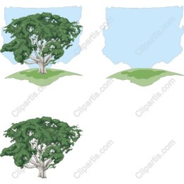 Majestic Tree