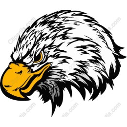 Fierce Eagle Head