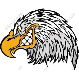 Majestic Eagle Head