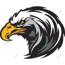 Majestic Eagle