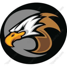 Fierce Eagle