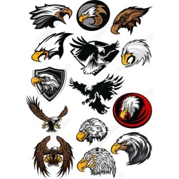 Eagle Set: 15 Unique s
