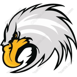 Fierce Eagle Head