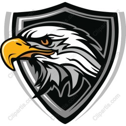 Majestic Eagle Head