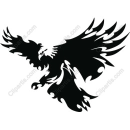 Fierce Eagle