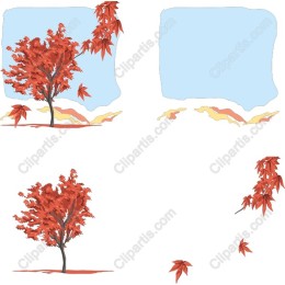 Autumn Breeze Maple Tree Pack