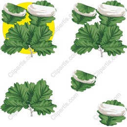 Lush Green Leaves