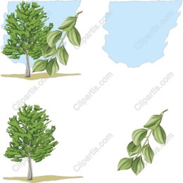 Nature-Inspired Tree and Leaf s Pack