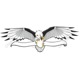 Majestic Eagle with Shield
