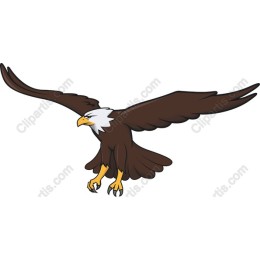 Majestic Soaring Eagle