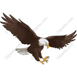 Majestic Eagle