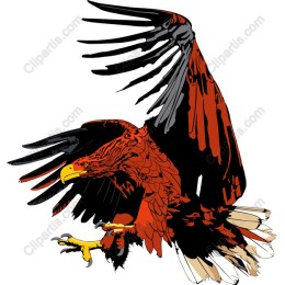 Majestic Red Eagle