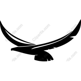 Majestic Eagle in Flight