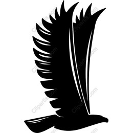 Soaring Eagle Wing
